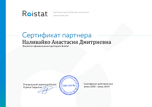 Сертификат партнера Roistat